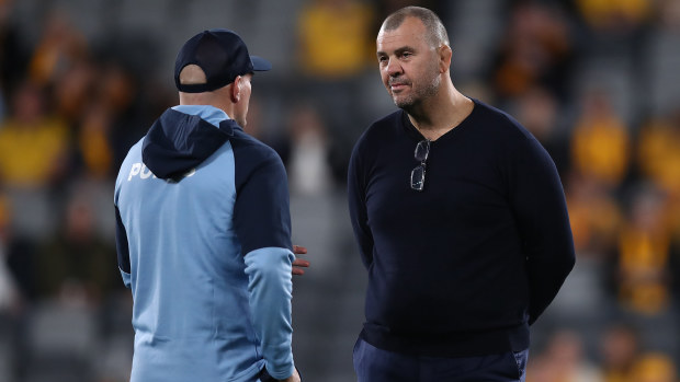 Michael Cheika at CommBank Stadium.