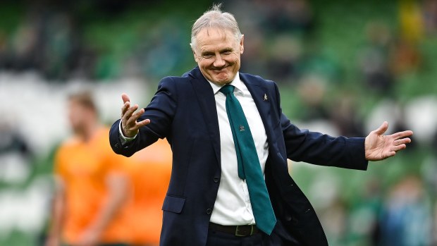 Australia coach Joe Schmidt before the Autumn Nations Series match.