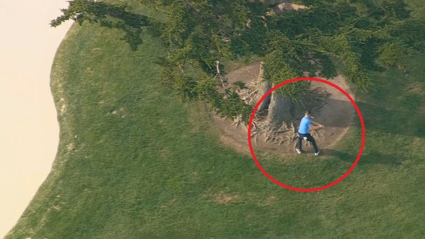 Cam Davis amazed commentators with his shot off a tree root.