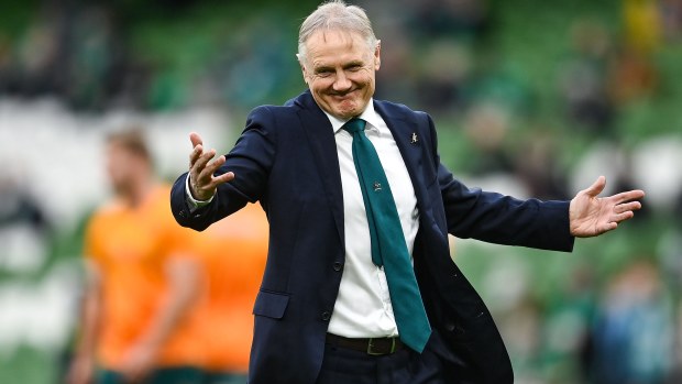 Australia coach Joe Schmidt before the Autumn Nations Series match.