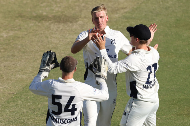 Will Sutherland of Victoria celebrating after taking a wicket.