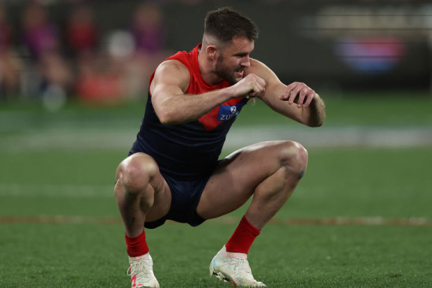 A dejected Joel Smith of the Demons