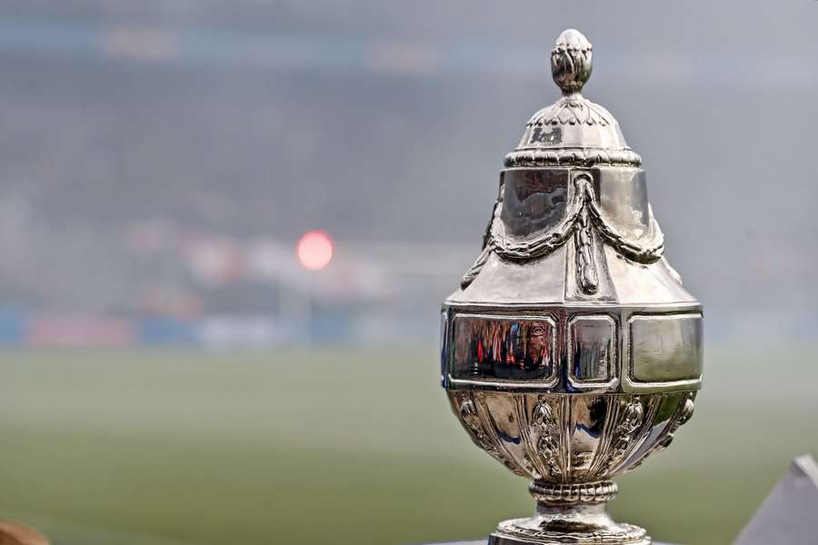 The Holdertbeker, nicknamed the 'Pinecone'