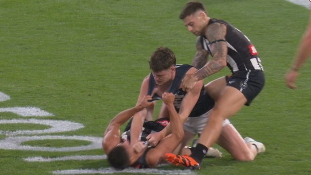 Nick Daicos and Sam Walsh were the triggers for an all-in brawl at quarter time between the Magpies and Blues.