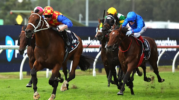 James McDonald riding Autumn Boy win Race 6 Sky Racing Rosehill Guineas during Sydney Racing at Rosehill Gardens on March 21, 2026 in Sydney, Australia. (Photo by Jeremy Ng/Getty Images)