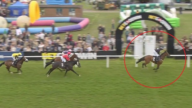 Callum Pritchard pulls Sweet Nightingale up a lap short at Plumpton.